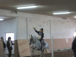 IMG_0634